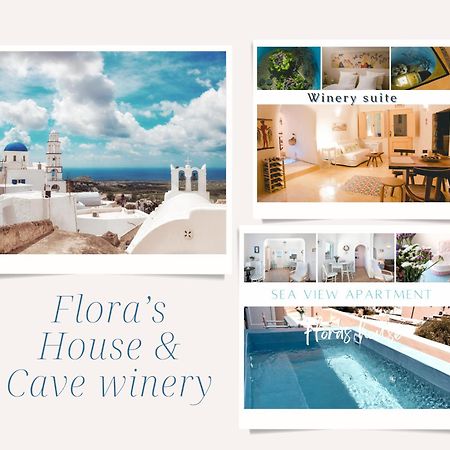 Flora'S House & Cave Winery Villa Pyrgos Kallistis Ngoại thất bức ảnh