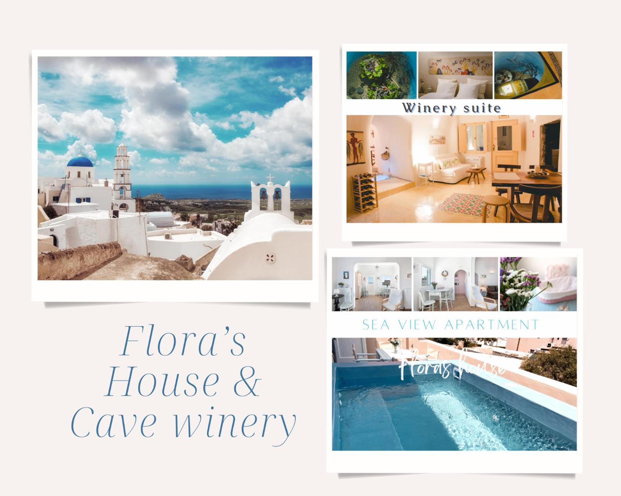 Flora'S House & Cave Winery Villa Pyrgos Kallistis Ngoại thất bức ảnh